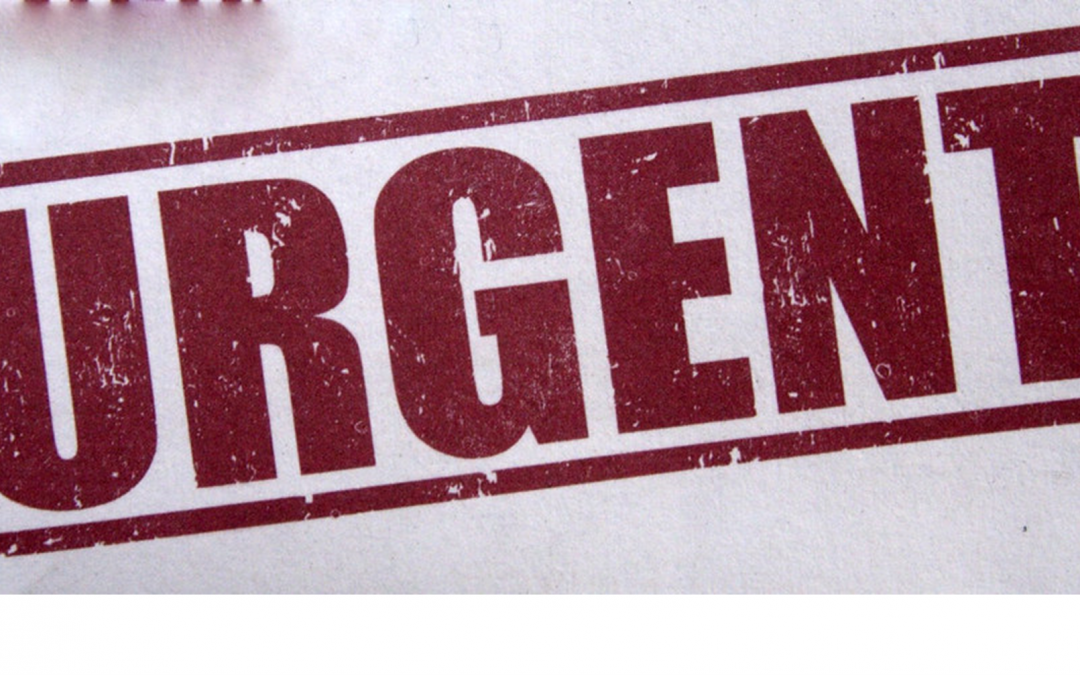 Urgent Notice to all Members