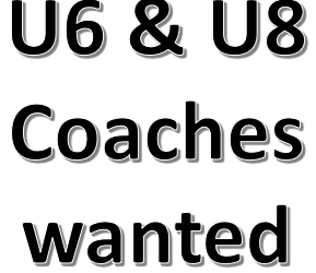 Join Our Team as Under 6 and Under 8 Coaches!